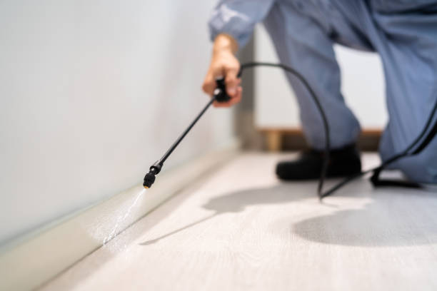 Licensed Termite Control service in Isanti, MN - Nex Pest Control