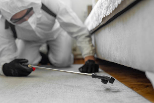 Professional Termite Control technician working in Isanti, MN
