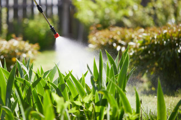 24/7 Emergency Termite Control experts in Isanti, MN
