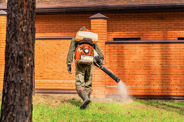 Top rated local Termite Control specialists in Isanti, MN